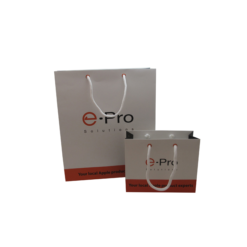 Custom Eco-Friendly Wholesale Shopping Paper Bag with Handles