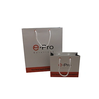 Custom Eco-Friendly Wholesale Shopping Paper Bag with Handles