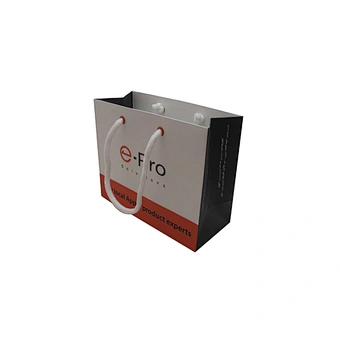 Custom Eco-Friendly Wholesale Shopping Paper Bag with Handles