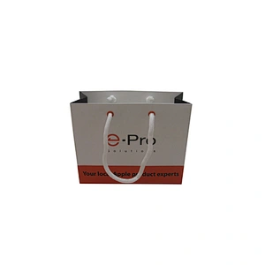 Custom Eco-Friendly Wholesale Shopping Paper Bag with Handles
